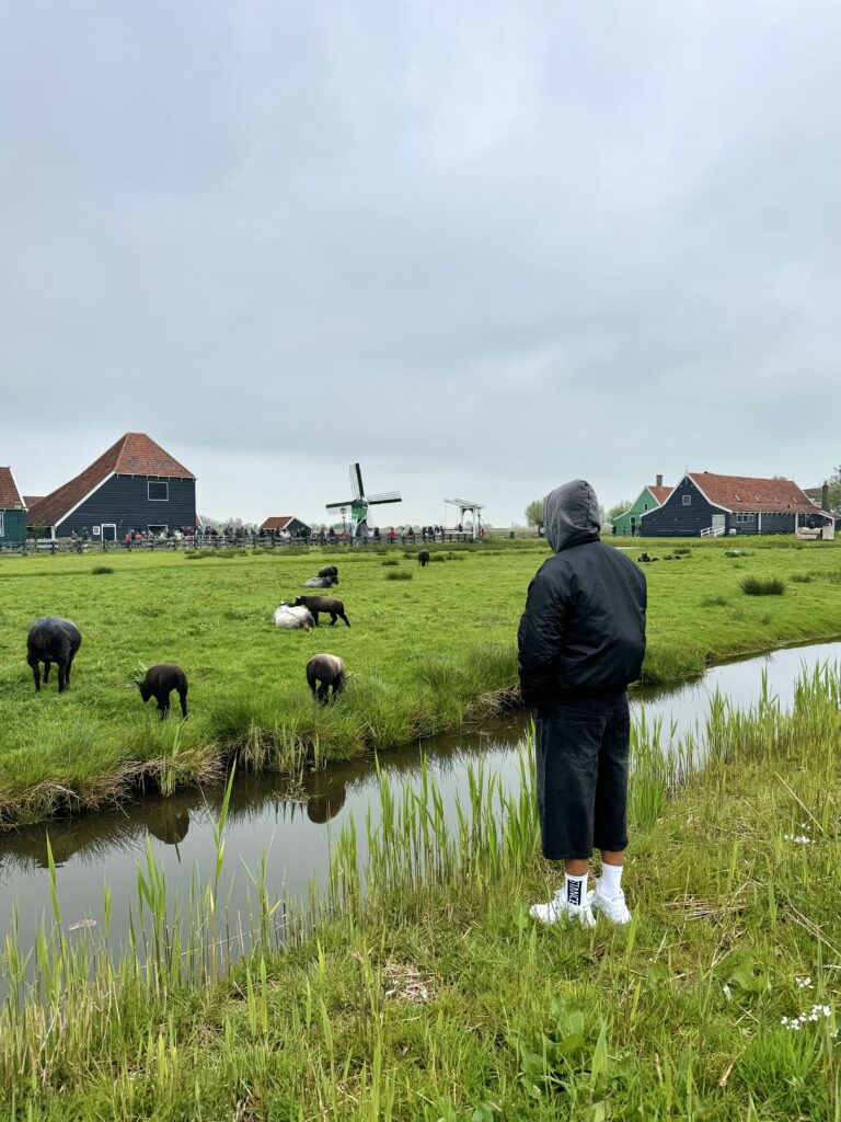 Zansee Schans