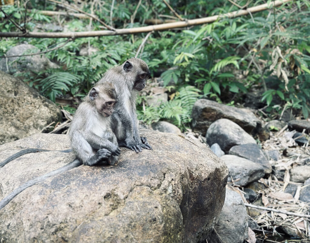 Parque Nacional de Khao Sok