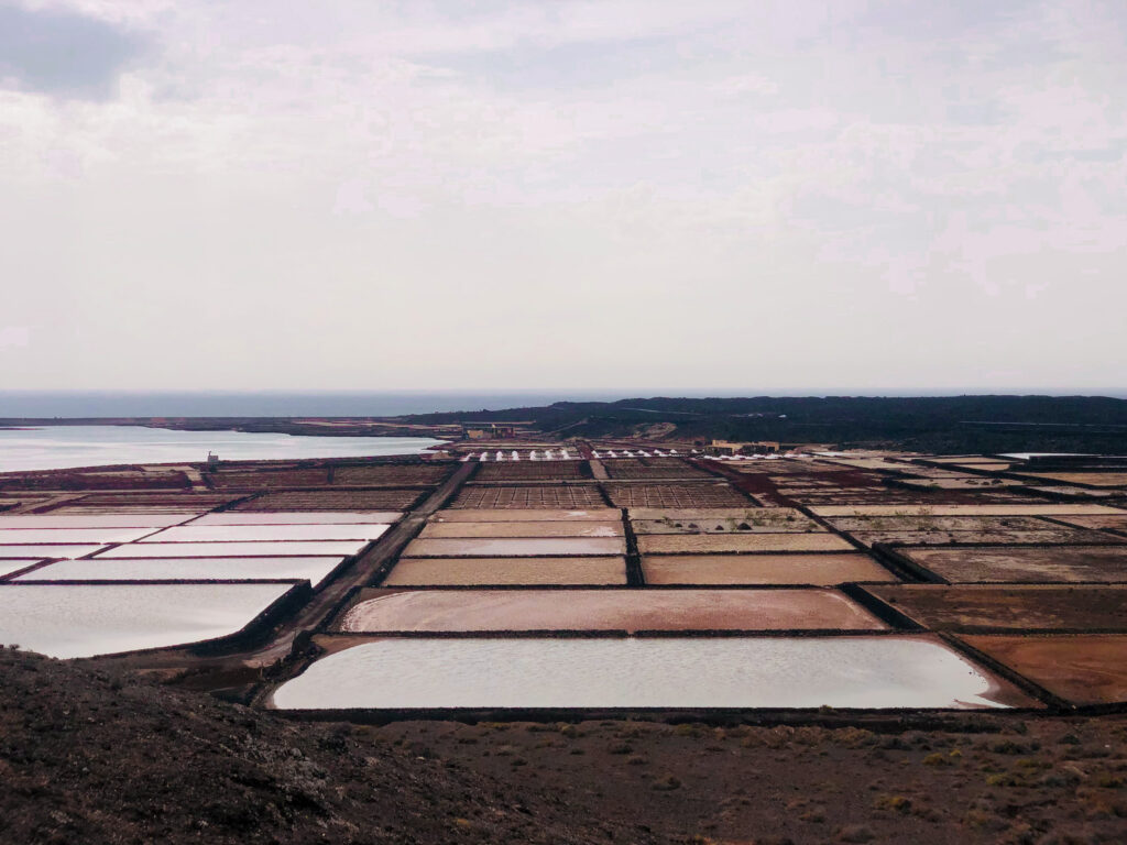 Salinas de Janubio